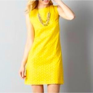 Loft Women’s Sunshine Yellow Eyelet dress size 8P